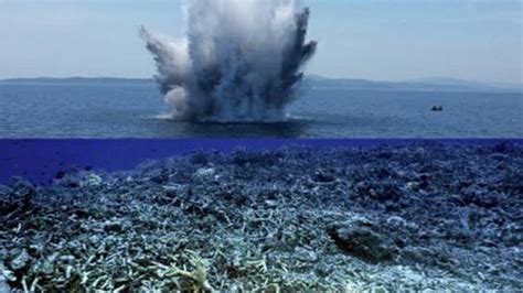 Petition · Coral Reefs Suffering No To Dynamite Fishing