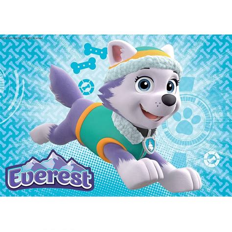 Paw Patrol Skye And Everest 2 Puzzles In A Box 24 Pieces Ravensburger