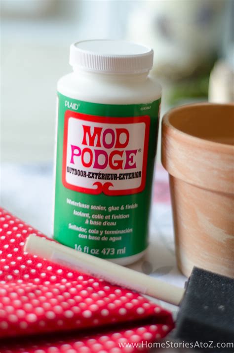 We did not find results for: How to Mod Podge Flower Pots