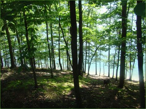 Maybe you would like to learn more about one of these? Mountain Lake Campground & Cabins - Summersville, WV - RV ...