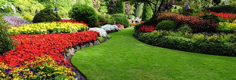 This professional has been around for many years providing professional yard care and gardening services. Texas Landscaping Contractor Services | Lawn Maintenance GA