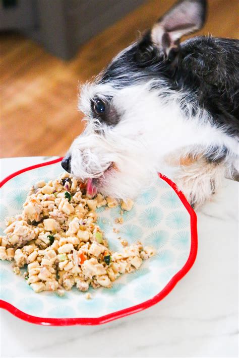 To meet your small dog's nutritional needs, this company packs plenty of when choosing a dog food brand, you'll want to consider the ingredients that are used, along with the company's ethos. Best Wet Dog Food For Small Breeds