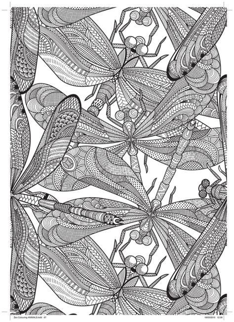 We hope you will have as much pleasure coloring them as we had. Dragonfly Free Pattern Download - Hobbycraft Blog