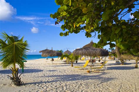 15 Best Resorts In Aruba For Adults All Inclusive Options