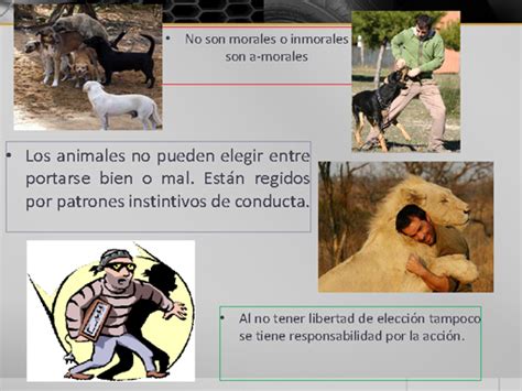 Entrá y conocé nuestras increíbles ofertas y promociones. Conducta humana - Monografias.com