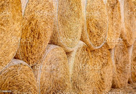 Hay Bales Neatly Stacked On Top Of Each Other Dry Straw Texture Stock