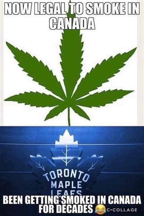 Pin By Dennisstockley On Funnieslol Toronto Maple Plant Leaves