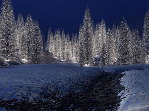 A Beautiful Winter Wonderland Christmas Scenery