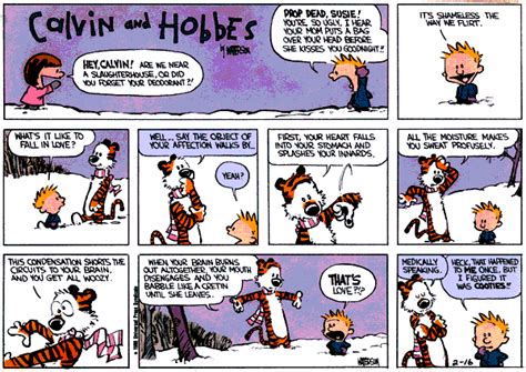 Whats It Like To Fall In Love Calvin And Hobbes