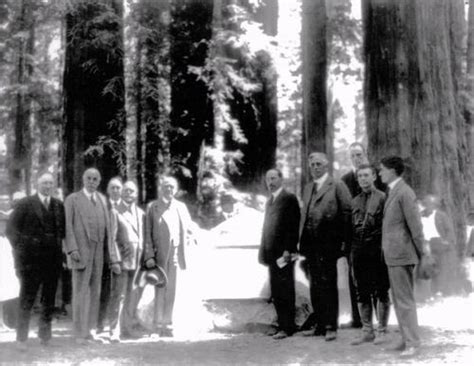History Of The Park Redwood National Park