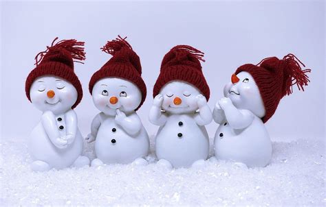 Funny Winter Wallpapers Top Free Funny Winter Backgrounds