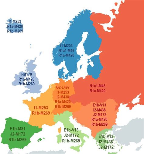 European Distribution Of Y Haplogroups Population Is Classified Into