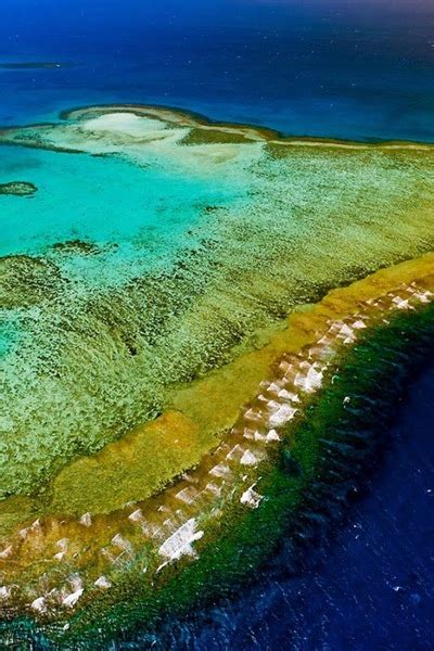 Alizul 7 Most Impressive Coral Reefs Around The World