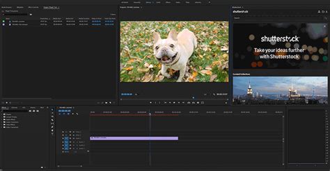 Adobe premiere pro is an application that comes in handy while editing your videos. Shutterstock's New Plugin Brings 8 Million+ Clips to ...