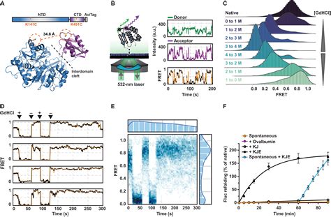 Real Time Single Molecule Observation Of Chaperone Assisted Protein