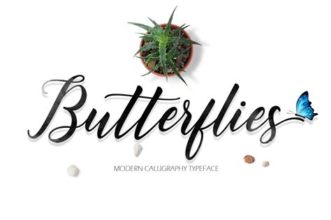 Butterflies Script Font By Fargunstudio · Creative Fabrica