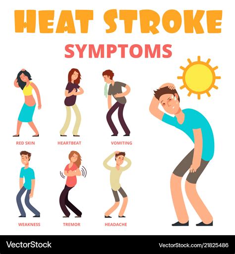 Heat Stroke Risk Sign And Symptom And Prevention Infographicvec Stock