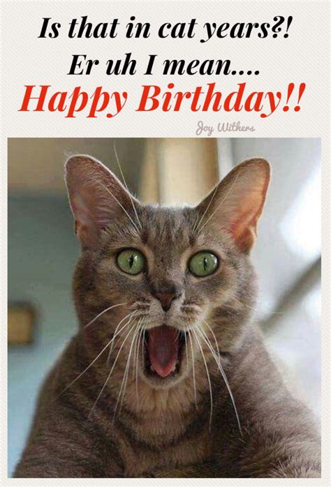 pin by joy withers on happy birthday and sayings funny memes cat years funny
