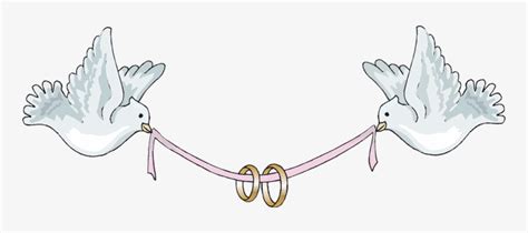 Doves With Ribbon And Rings Wedding Ribbon Clip Art Transparent Png