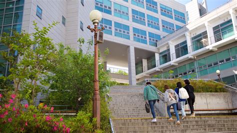 Pusan National University Kor Ferienwohnungen Ferienhäuser Und Mehr