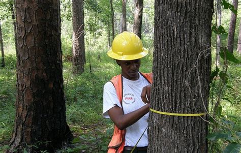Southern eye care of clinton has. Forests of Mississippi, 2014 - CompassLive