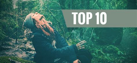 Fishing, hiking, a nice trip to the park. Top 10 Things To Do While Being High - Zamnesia Blog