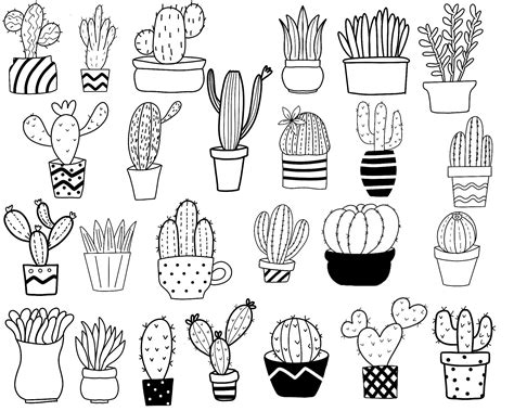 Cactus Doodle Clipart Clipart Hand Drawn Cactus Clipart Etsy