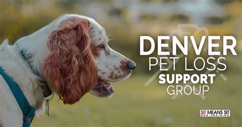 We meet the first tuesday of each month at 6 pm, for an hour, at indyhumane's michigan road adoption center. Denver Pet Loss Support Group | Sit Means Sit South Denver