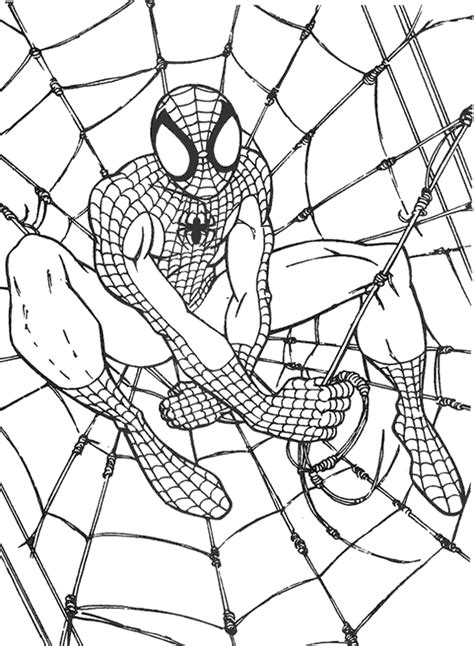 Dibujo colorear Spiderman