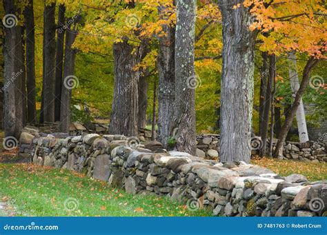 Rock Wall New England Stock Photos Image 7481763