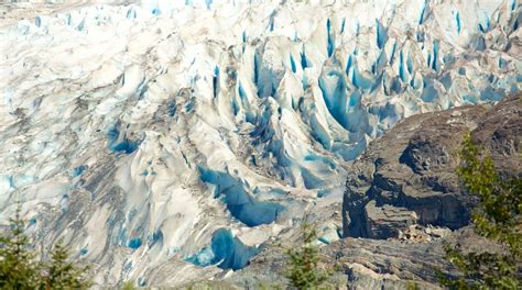 Mendenhall Glacier Tours Book Now Expedia