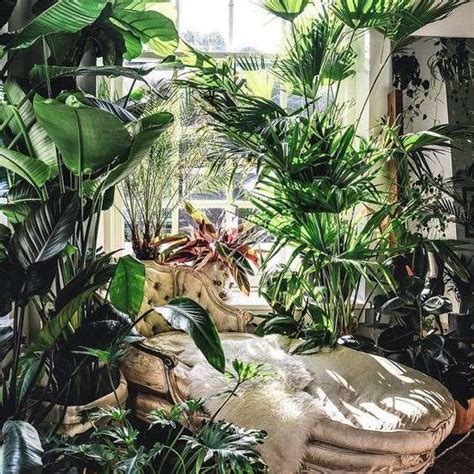 A lush tropical garden under a glass ceiling is what you need to create a luxh and relaxing courtyard. 50 Astonishing Indoor Garden Ideas with Pictures - YHMAG