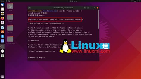 如何将 Ubuntu 升级到 22 04 LTS Jammy Jellyfish Linux迷