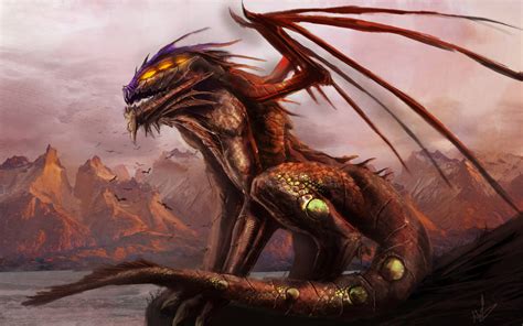 Dragon Full Hd Wallpaper And Background Image 1920x1200 Id331500