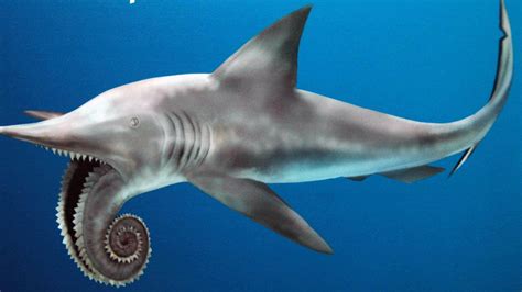 10 Incredible Prehistoric Sea Creatures Worth Exploring