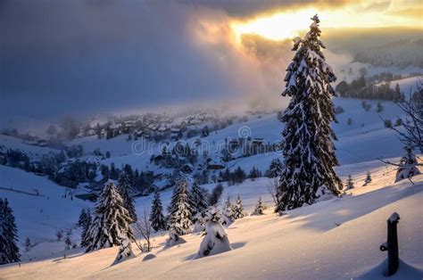 Christmas In Black Forest Winter In Todtnauberg Snow Stock Photo