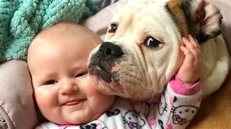Babies Laughing At Dogs Compilation New