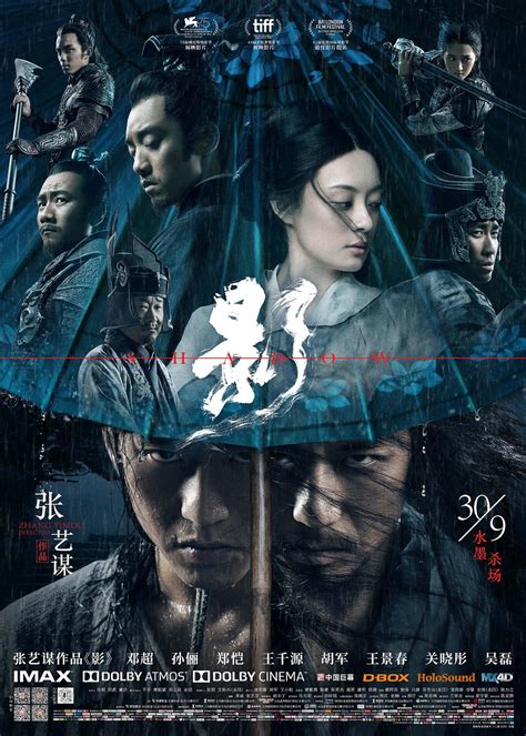 Review Shadow 2018 Sino Cinema 《神州电影》