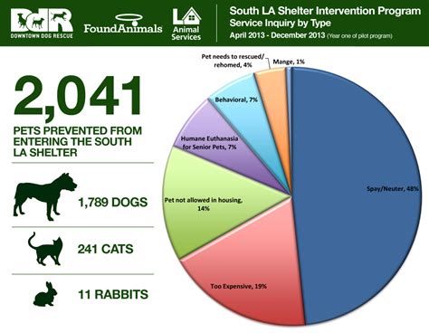 2013 South La Shelter Intervention Program Statistics Downtown Dog Rescue