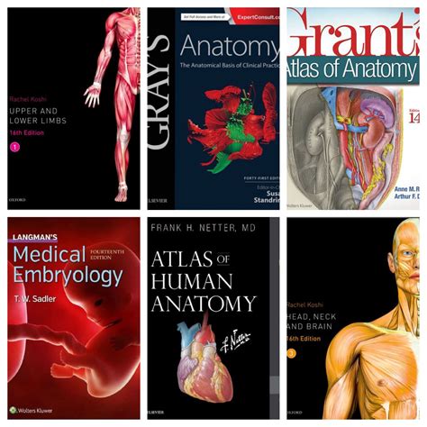 Free Pdf Medical Books Daily Updated Free Pdf Epub Medical Books