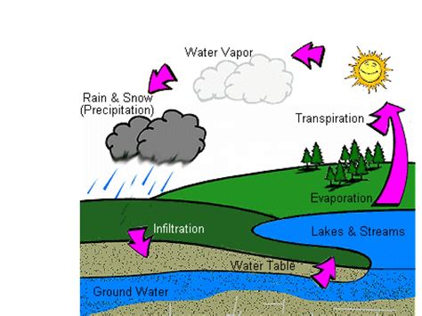 Water Cycle Steps For Kids