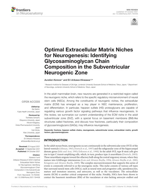 Pdf Optimal Extracellular Matrix Niches For Neurogenesis Identifying
