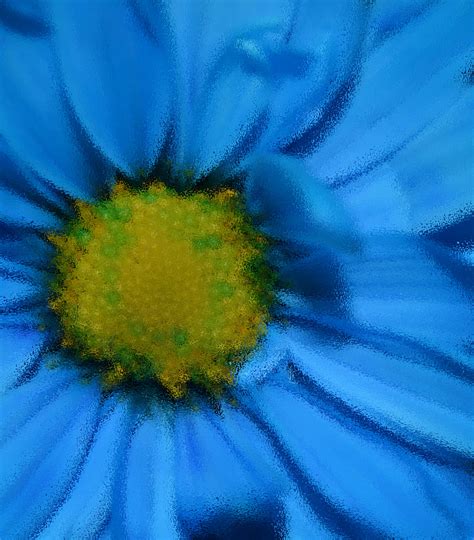 Blue Daisy Flowers Macro Free Stock Photo Public Domain Pictures