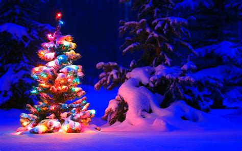 Snowy Christmas Tree Lights Wallpapers Hd Wallpapers Id 17824