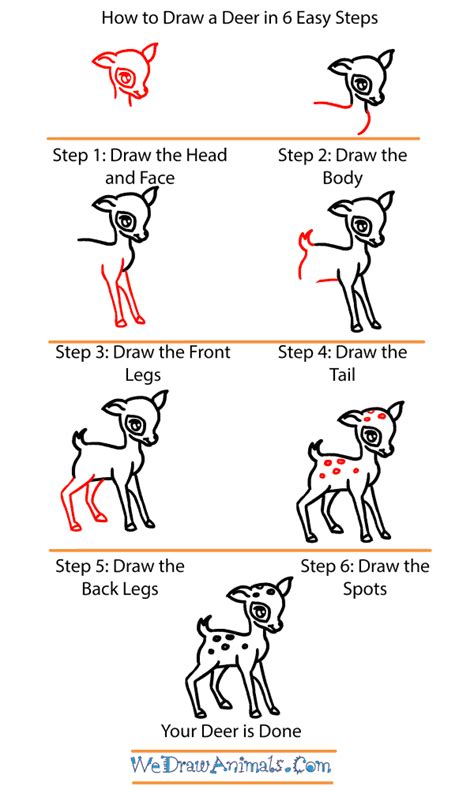 How To Draw A Baby Deer Baby Deer Step By Step Drawing Guide By