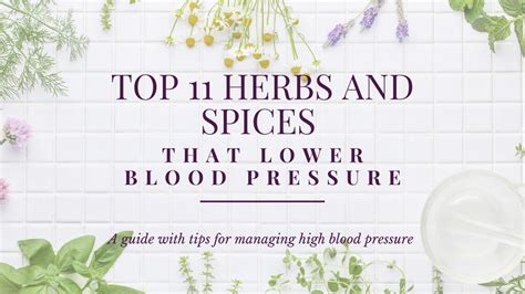 Top 11 Herbs And Spices That Lower Blood Pressure Applied Science