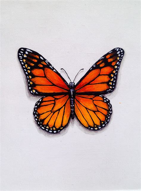 Monarch Butterfly By Jbrestrick On Deviantart