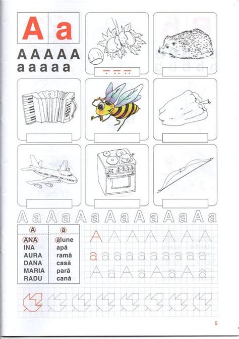 An Activity Book With Pictures And Words For Children To Practice Their