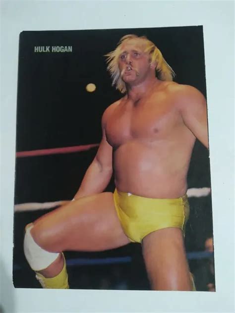 Vintage Wrestling Hulk Hogan Hulkamania Pinup Wwf 599 Picclick