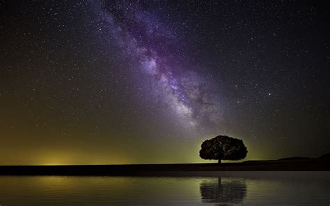 Download Wallpaper 3840x2400 Starry Sky Milky Way Tree Horizon